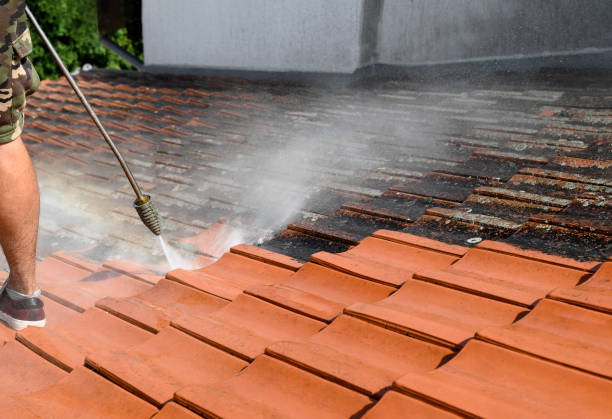Best Pressure Washing Siding  in Prudenville, MI